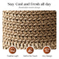 👒New arrival 40% OFF!🏖️Elegant Woven Straw Sun Hat with Bow