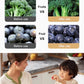 Intelligent Fruit and Vegetable Purifier