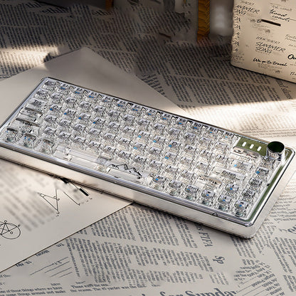 Universal Transparent Mechanical Keyboard with RGB Backlight