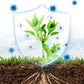 General Purpose Horticultural Antibacterial Nutrient Solution