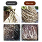 🔥Hot Sale 🔥Universal Plant Rapid Rooting Liquid Fertilizer