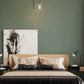 Water-Based Diatom Earth Interior Wall Paint