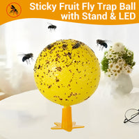🥳2026 HOT SALE🥳💞50K+ SOLD!🚫🪰 58% OFF! LED Fruit Fly Trap – Sticky ball + light attracts insects day & night. Non‑toxic, no chemicals. Perfect for kitchen & office. Just set & toss. 🍎✨