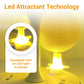 🥳2026 HOT SALE🥳💞50K+ SOLD!🚫🪰 58% OFF! LED Fruit Fly Trap – Sticky ball + light attracts insects day & night. Non‑toxic, no chemicals. Perfect for kitchen & office. Just set & toss. 🍎✨