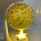 🥳2026 HOT SALE🥳💞50K+ SOLD!🚫🪰 58% OFF! LED Fruit Fly Trap – Sticky ball + light attracts insects day & night. Non‑toxic, no chemicals. Perfect for kitchen & office. Just set & toss. 🍎✨