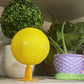 🥳2026 HOT SALE🥳💞50K+ SOLD!🚫🪰 58% OFF! LED Fruit Fly Trap – Sticky ball + light attracts insects day & night. Non‑toxic, no chemicals. Perfect for kitchen & office. Just set & toss. 🍎✨