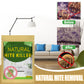 ⏳ LAST DAY SALE ONLY £8.9! 🌿🛡️ The UK's #1 Natural Mite Control Sachet – Vetted by Allergy UK • 100% Chemical-Free • Safe for Babies, Pets & Asthma Sufferers 🛏️✨