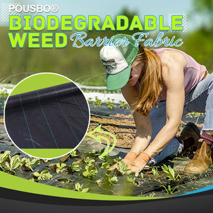 🌿 50% OFF NOW! 🧵 Weed Control Fabric – Blocks Sunlight, Breathable & Perfect for Garden Beds & Pathways 📉