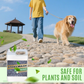 🔥 FLASH SALE 49% OFF 🔥 Quick-Drying Sticky Landscape Adhesive – Instant Hold, Zero Mess! 🌿✨
