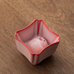 ✨Adorable Bubbling Pig Tea Pet &Tea Cup Set