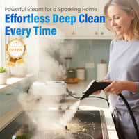 [Free Shipping] Multifunctional High-Temperature Steam Cleaner for Home