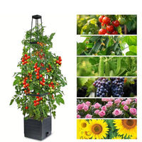 Garden Raised Bed Planter Boxes with Trellis