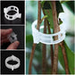 🔥HOT SALE🔥Clips for climbing plants – Plastic tomato ties and plant fasteners 🌱🍅