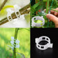 🔥HOT SALE🔥Clips for climbing plants – Plastic tomato ties and plant fasteners 🌱🍅