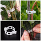 🔥HOT SALE🔥Clips for climbing plants – Plastic tomato ties and plant fasteners 🌱🍅