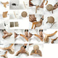 🎉 2026 Sale — Over 35,300 Sold!🐈 Natural Sisal Cat Scratching Ball With Cardboard Pad