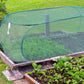 🔥 Hot Sale 50% OFF 🔥Pop-Up Plant Protection Mesh Cover