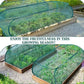 🔥 Hot Sale 50% OFF 🔥Pop-Up Plant Protection Mesh Cover