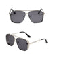 🎁New arrival 40% OFF💥 Retro Double Bridge Metal Frame Sunglasses