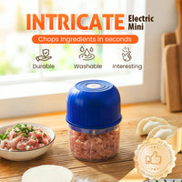 👶🥕🍎 LIMITED-TIME 60% OFF! Versatile Electric Mini Chopper – Grind, Mince, Puree – Stainless Steel Blades, Easy Clean – Great for Baby Food, Salsa, Dips, and Dressings 🧑‍🍳✨