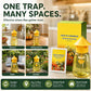 🐝🏡 LIMITED-TIME 56% OFF! Indoor & Outdoor Hanging Fly Trap – Four Entry Openings, Easy Setup & Reusable Pest Control