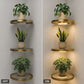 🏆 Last Day Special Price £14.9 ! 💡Buy more save more🏠 Floating Wall Shelf with Built-in Ambient LED Lighting✨