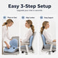 🪑 50% OFF NOW! ✨ Ergonomic memory foam seat cushion with back support – comfortable & supportive for home, office, and car 💺🛡️