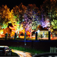 🥳2026 HOT SALE💞UP TO 57% OFF!! 🌳💡Ring-Shaped Solar Tree Lights – Weatherproof Outdoor Spotlights Ideal for Trees, Pillars, and Gardens