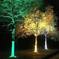 🥳2026 HOT SALE💞UP TO 57% OFF!! 🌳💡Ring-Shaped Solar Tree Lights – Weatherproof Outdoor Spotlights Ideal for Trees, Pillars, and Gardens