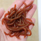 🎣 Save 53%! 🪱 Soft Earthworm Lures – Shrimp scent, 50/100 pack ✨
