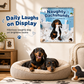 🐶 Save 56%! 🗓️ Naughty Dachshunds Calendar – Cute & wall-ready ✨