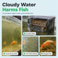 🐠💧Activated Carbon Filter Cube – honeycomb filtration clears cloudy water, removes odors. Anti-crumble block for crystal-clear aquarium! 🛡️✅
